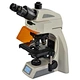 LED Fluorescence Trinocular Microscope